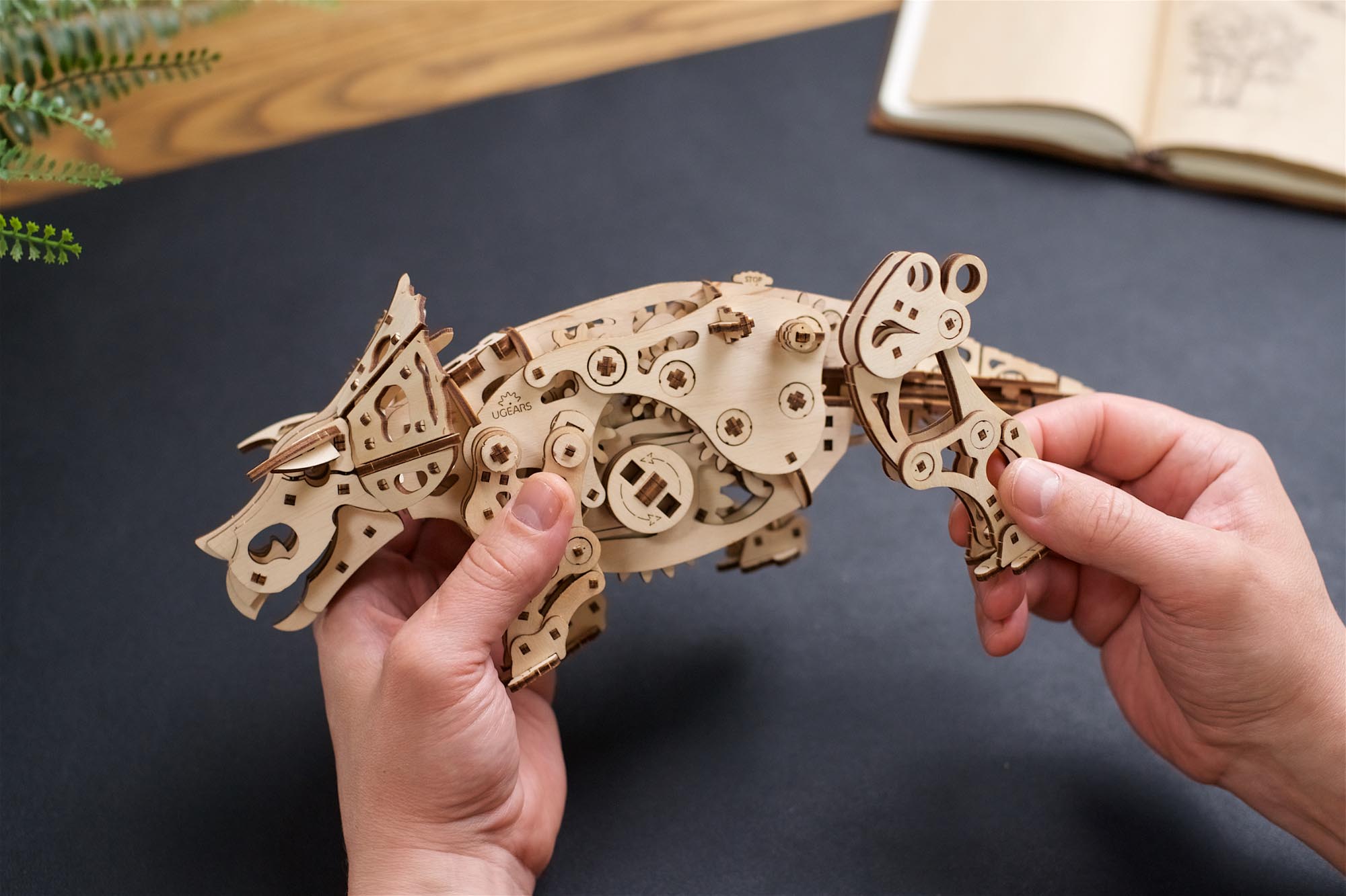 UGears Triceratops Mechanical Model