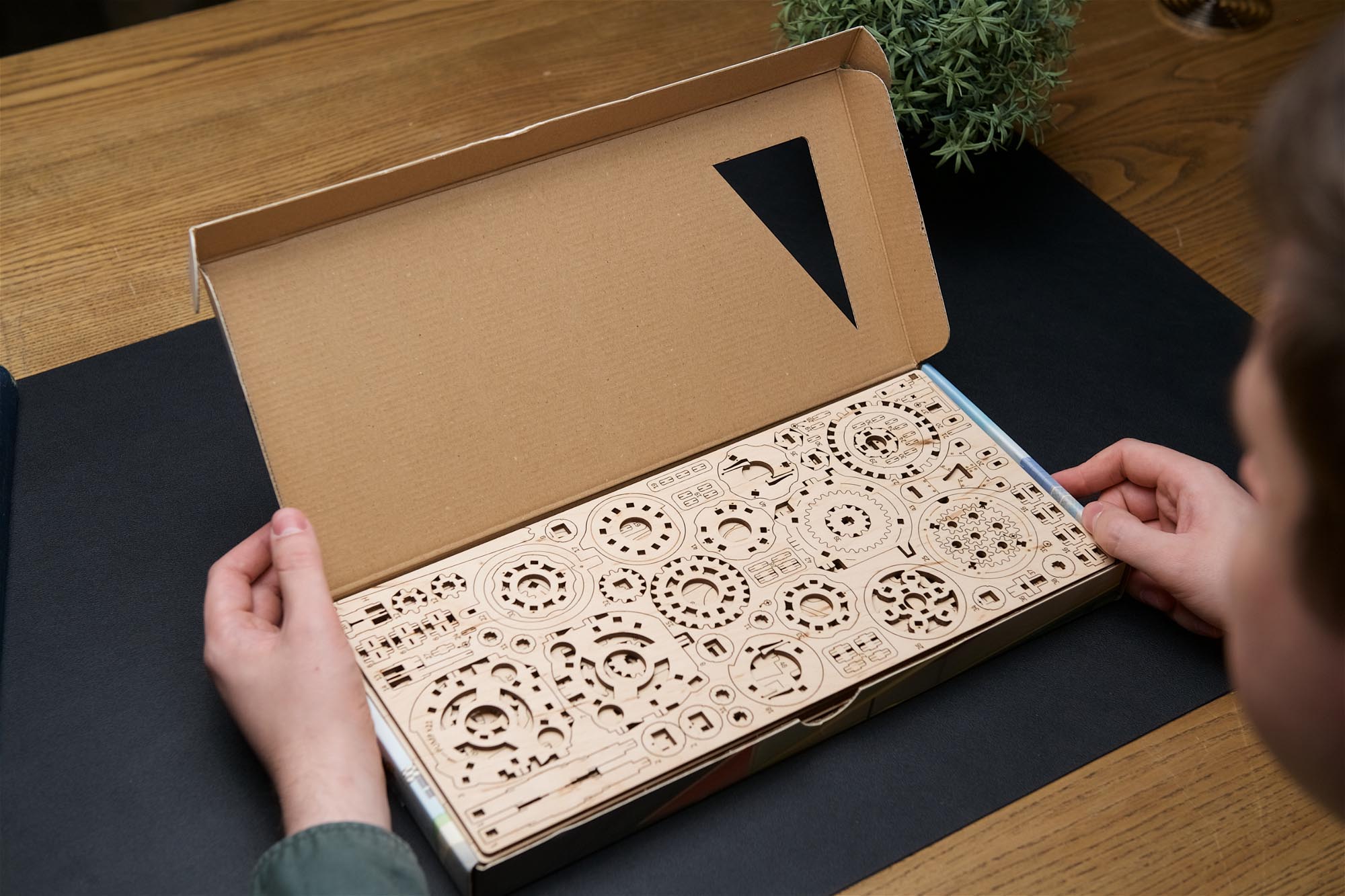 UGears Mad Hornet Airplane