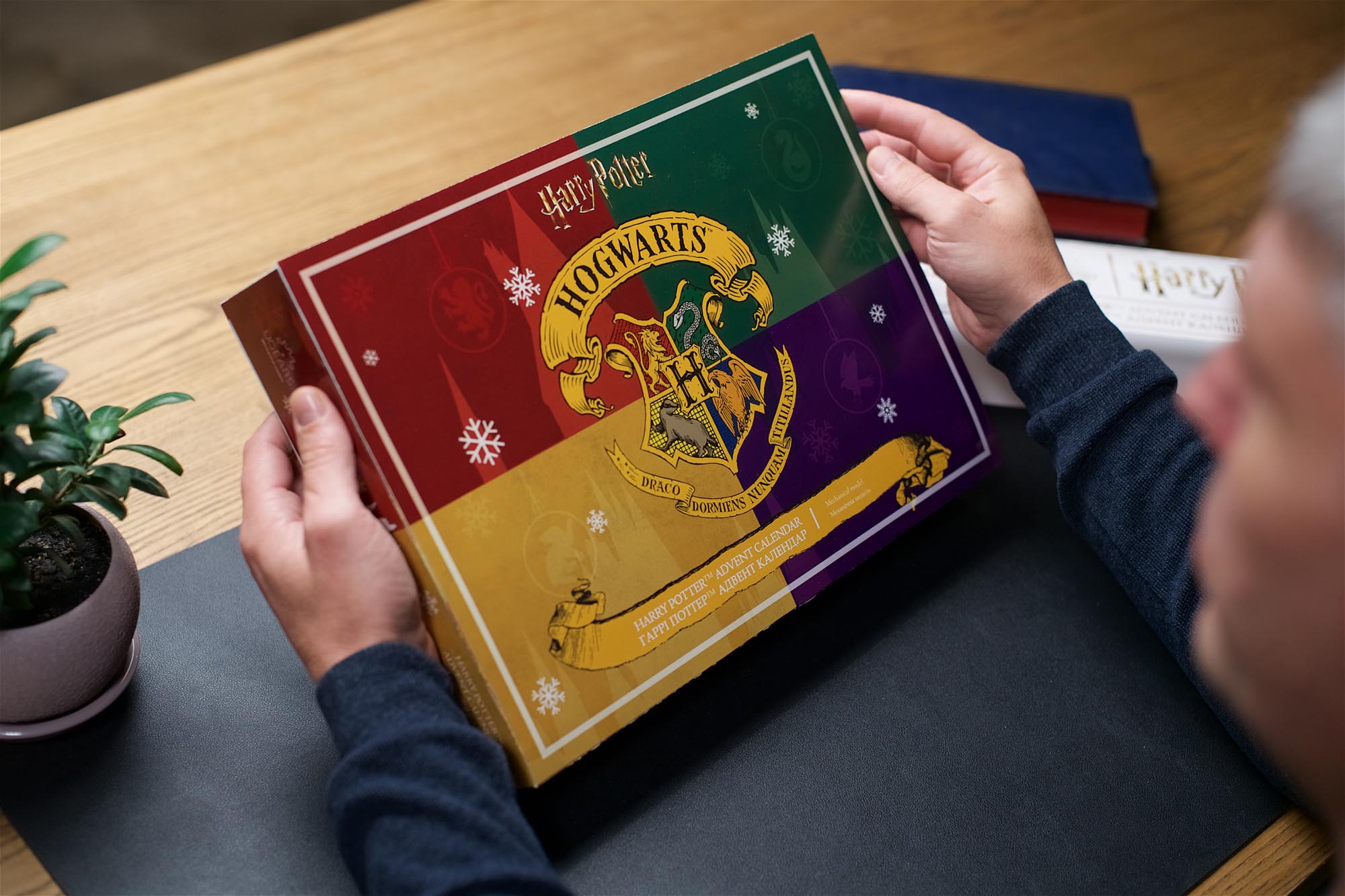 Harry Potter™ Advent Calendar