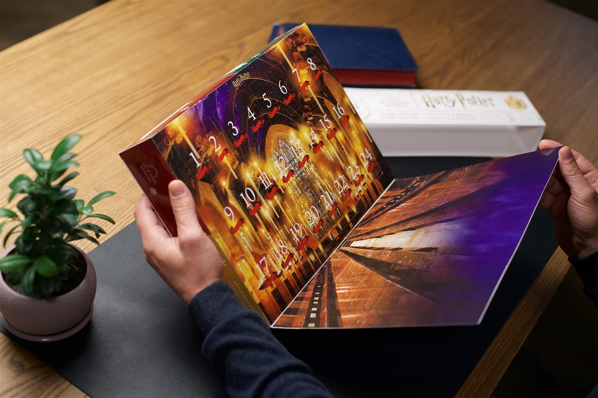 Harry Potter™ Advent Calendar